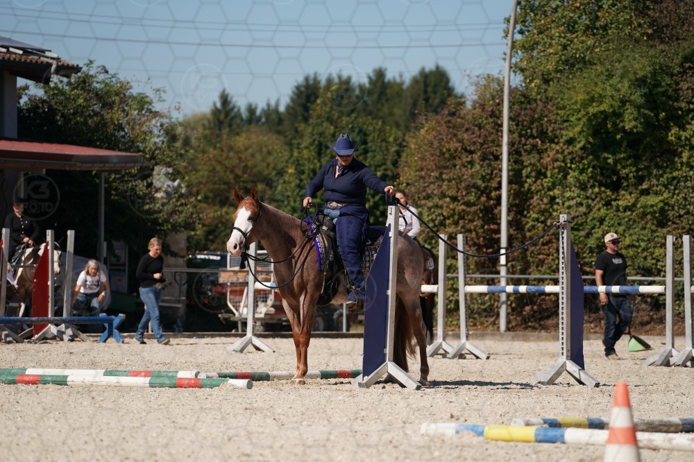 s_A_907754.JPG